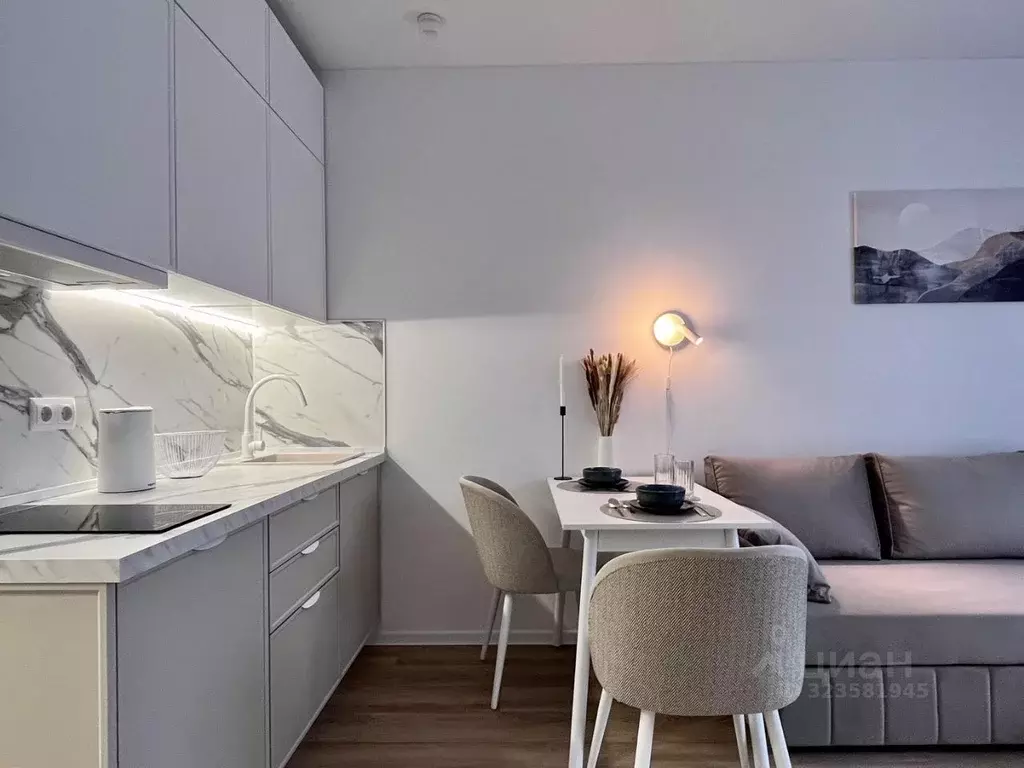 Студия Москва ул. Трехполье, 6к1 (22.0 м) - Фото 2