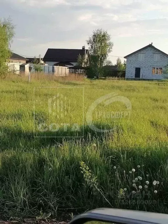 Участок в Воронежская область, с. Новая Усмань ул. Белгородская, 27/2 ... - Фото 2