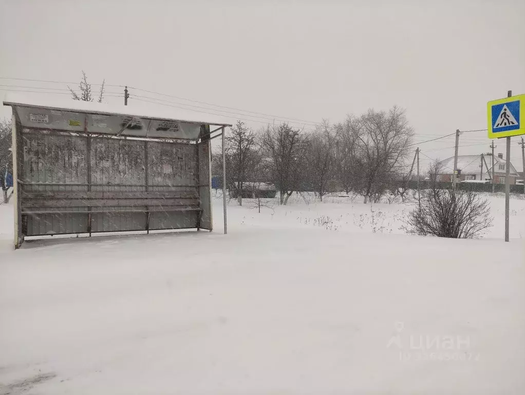 Участок в Воронежская область, Хохольский район, с. Гремячье ул. 50 ... - Фото 2