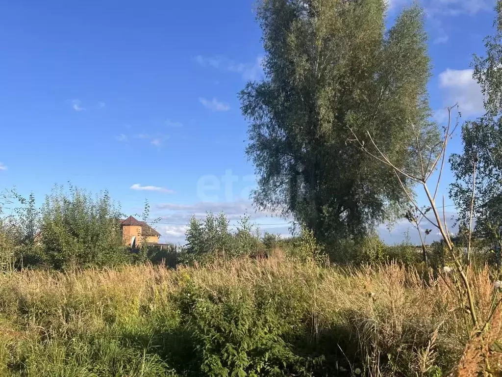 Участок в Калининградская область, Зеленоградск Прибой садоводческое ... - Фото 0