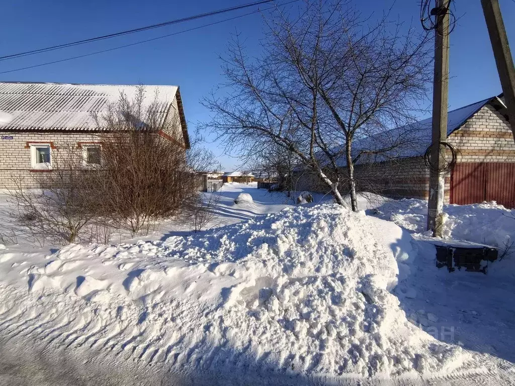 Участок в Воронежская область, Новоусманский район, с. Бабяково ул. ... - Фото 1