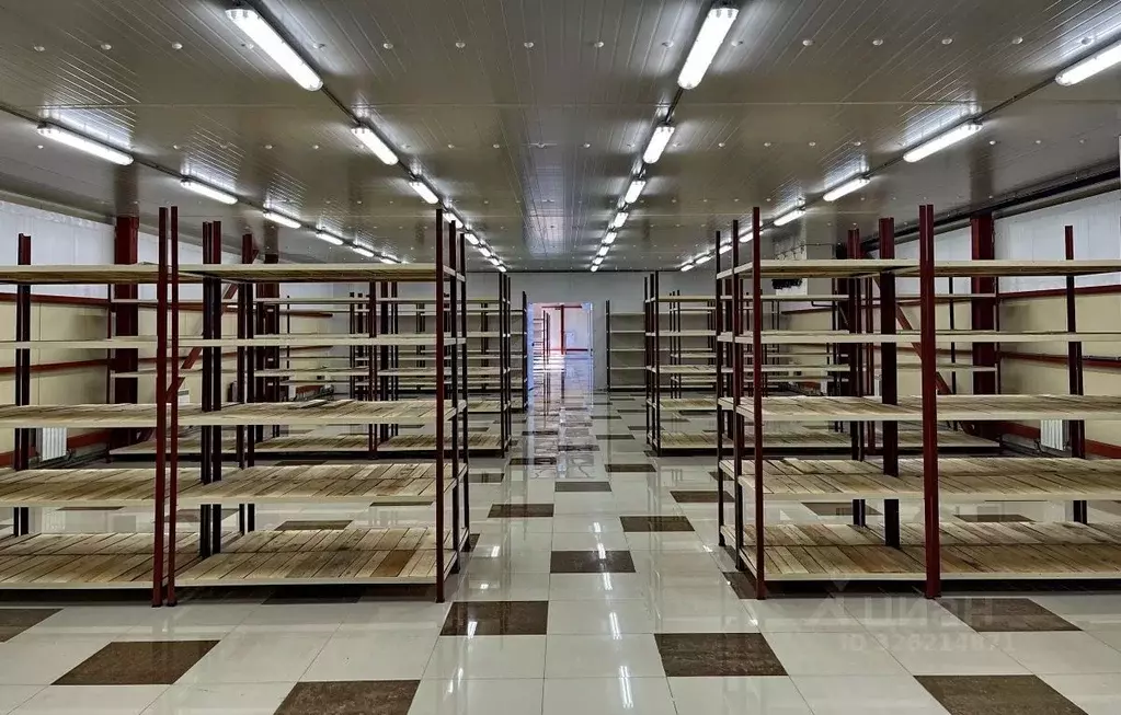 Помещение свободного назначения в Хабаровский край, Хабаровск ... - Фото 2