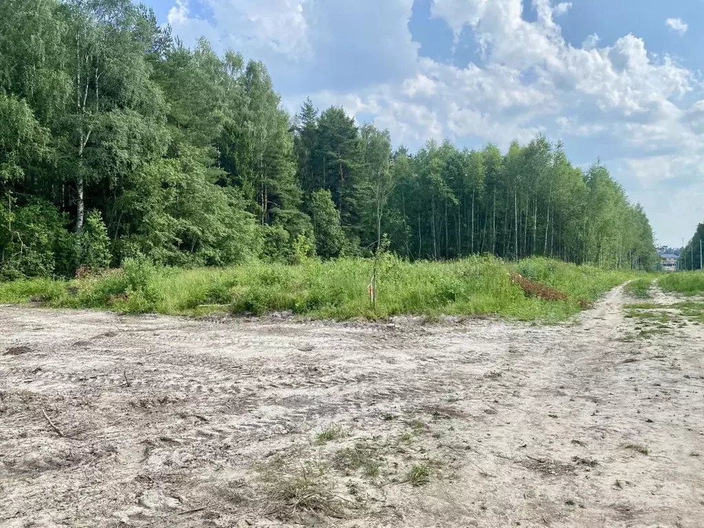 Участок в Владимирская область, Александровский район, Андреевское ... - Фото 1