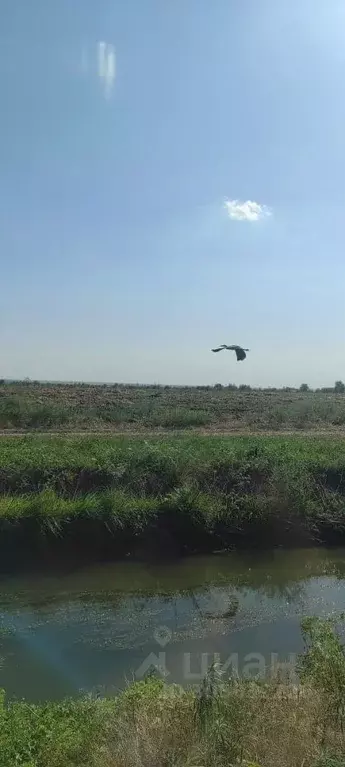 Участок в Ростовская область, Азовский район, Новоалександровское ... - Фото 0