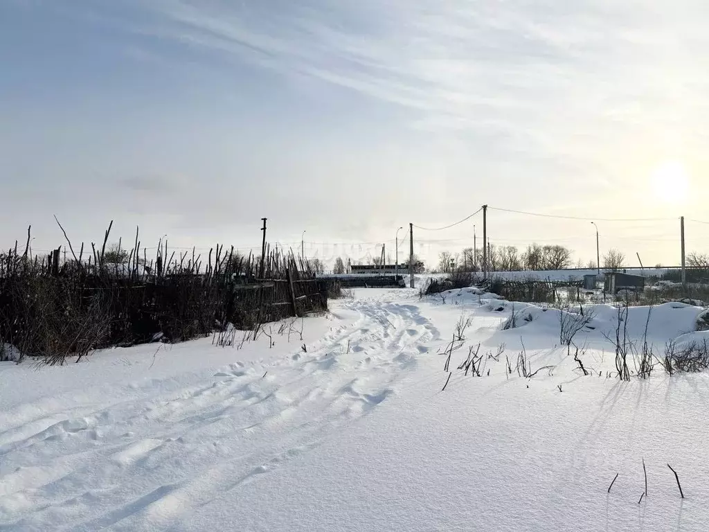 Участок в Новосибирская область, Новосибирский район, с. Криводановка, ... - Фото 0