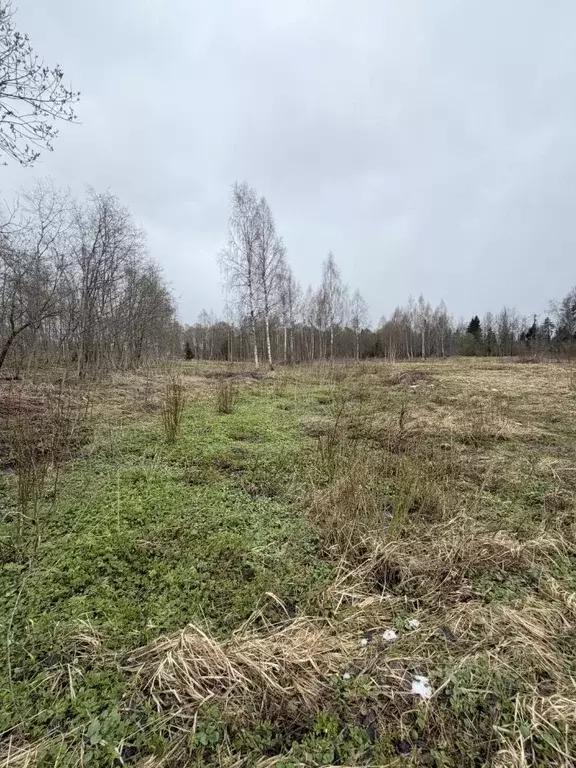 Участок в Московская область, Одинцовский городской округ, Лесное ... - Фото 1