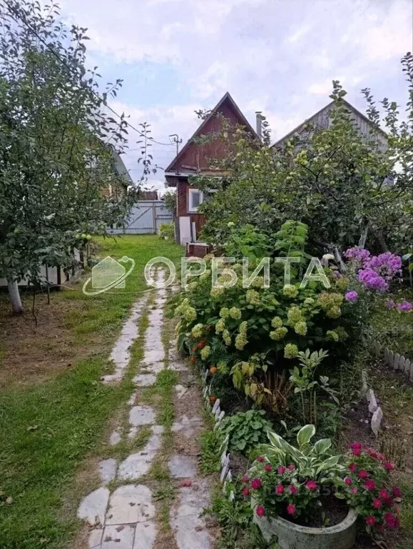 Дом в Тюменская область, Тюмень СОСН Сирень тер., ул. Виноградная (25 ... - Фото 1