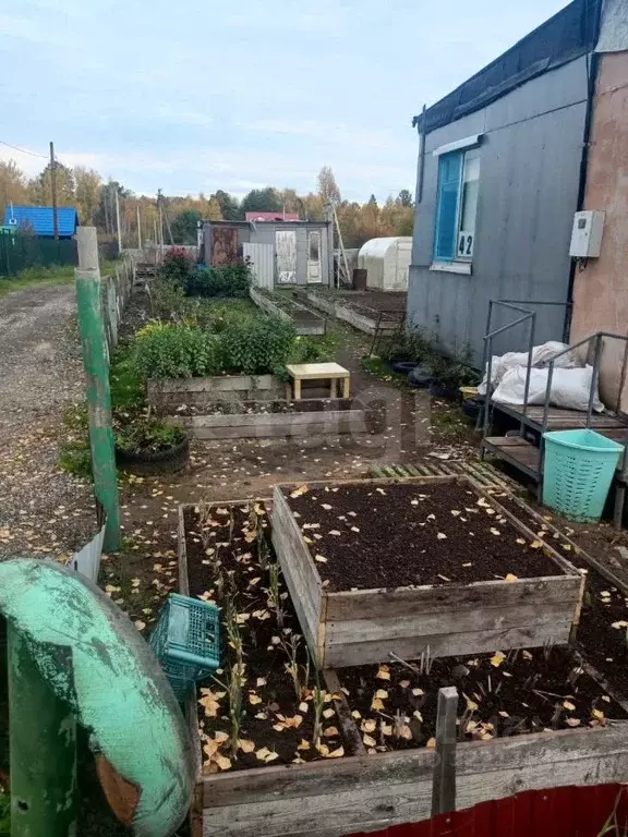 Участок в Томская область, Томский район, Богашевское с/пос, Семья СНТ ... - Фото 1