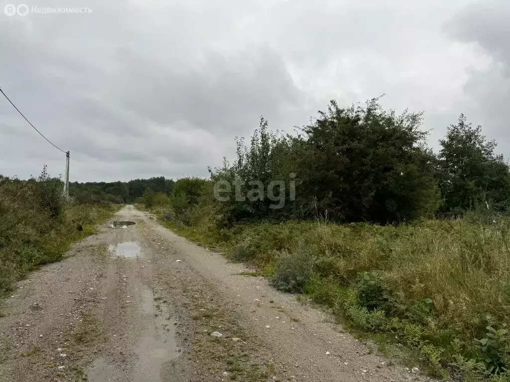 Участок в Калининградская область, Гурьевский муниципальный округ, ... - Фото 1