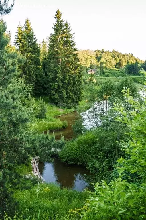 Участок в Московская область, городской округ Серпухов, деревня ... - Фото 1