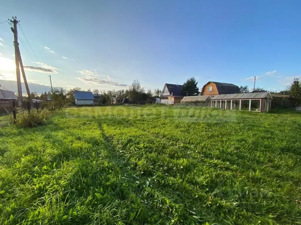 Участок в Московская область, Наро-Фоминский городской округ, Родники ... - Фото 0
