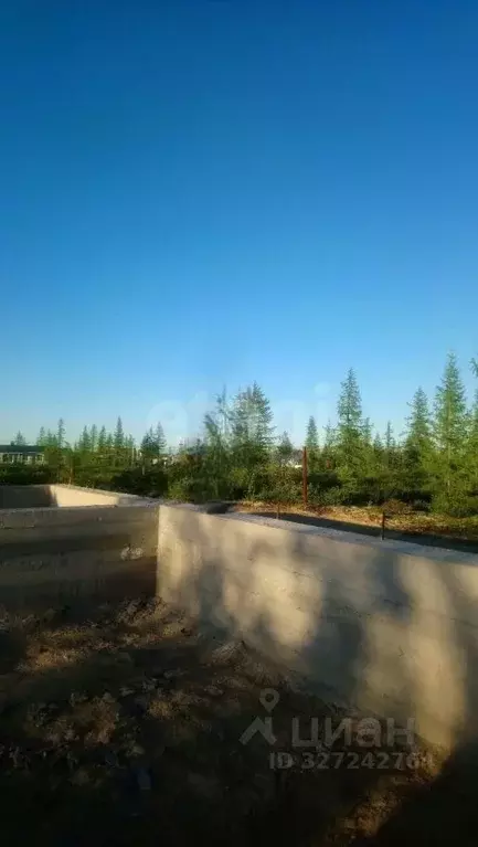 Участок в Ямало-Ненецкий АО, Новый Уренгой Фемида СНТ, ул. Докторская, ... - Фото 2