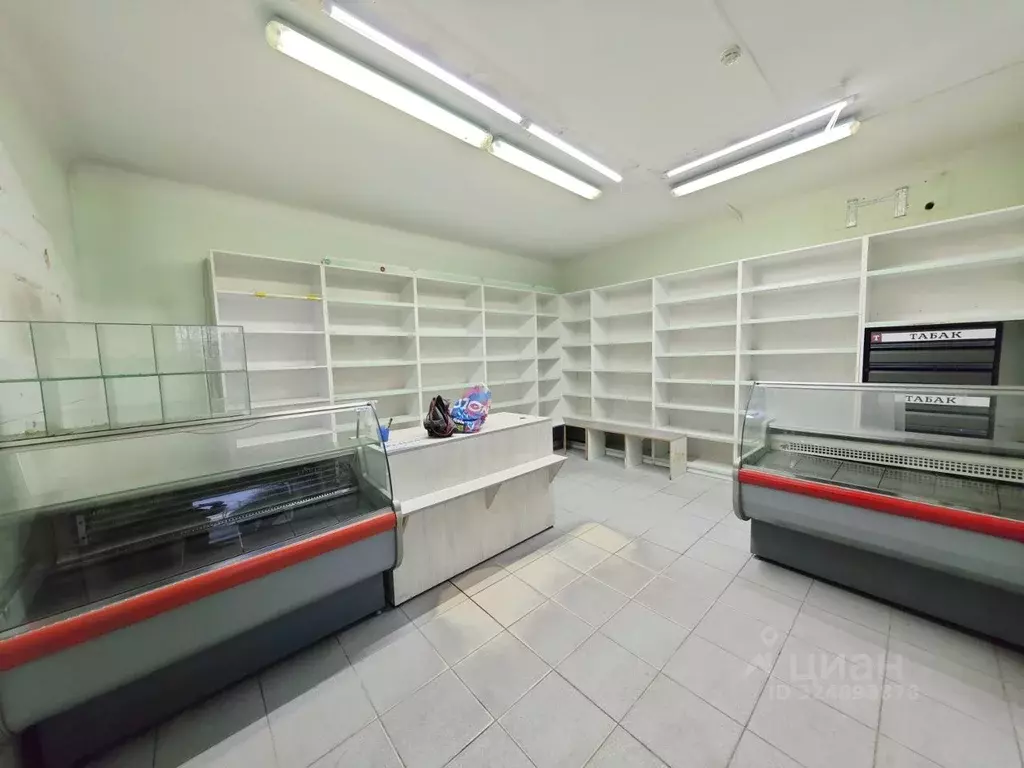 Помещение свободного назначения в Калининградская область, Гусев ... - Фото 1