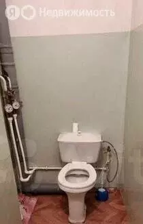 1-комнатная квартира: село Чигири, Садовая улица, 1 (33 м) - Фото 1