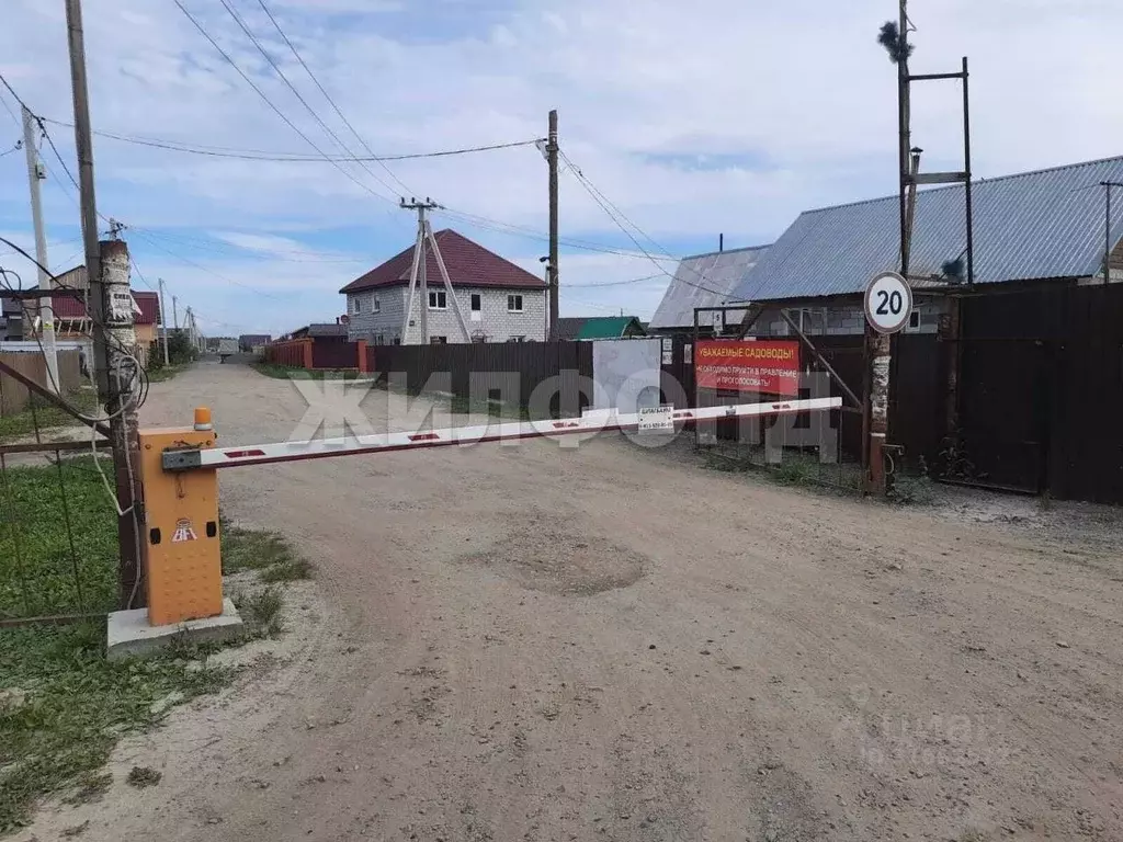 Участок в Новосибирская область, Новосибирский район, Кубовинский ... - Фото 0