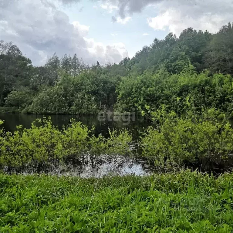 Дом в Брянская область, Брянский район, Новодарковичское с/пос, д. ... - Фото 1