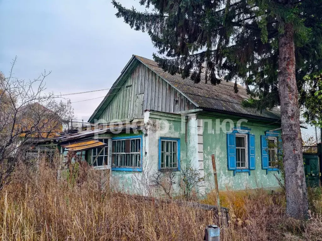 Дом в Хакасия, Абакан Совхозная ул., 36 (44 м) - Фото 1