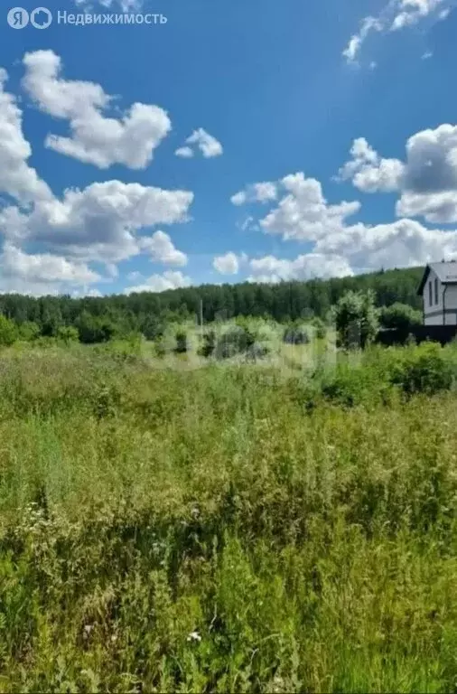 Участок в Миасс, СНТ Маяк (3.2 м) - Фото 2