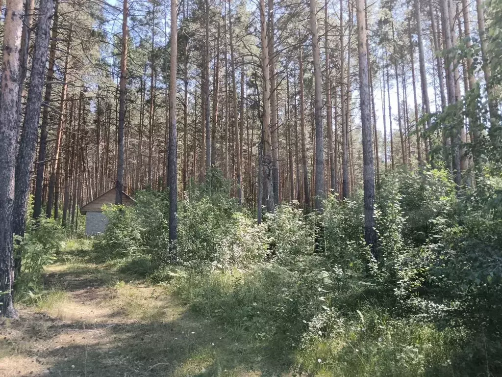 Участок 20 сот. (ИЖС) - Фото 0