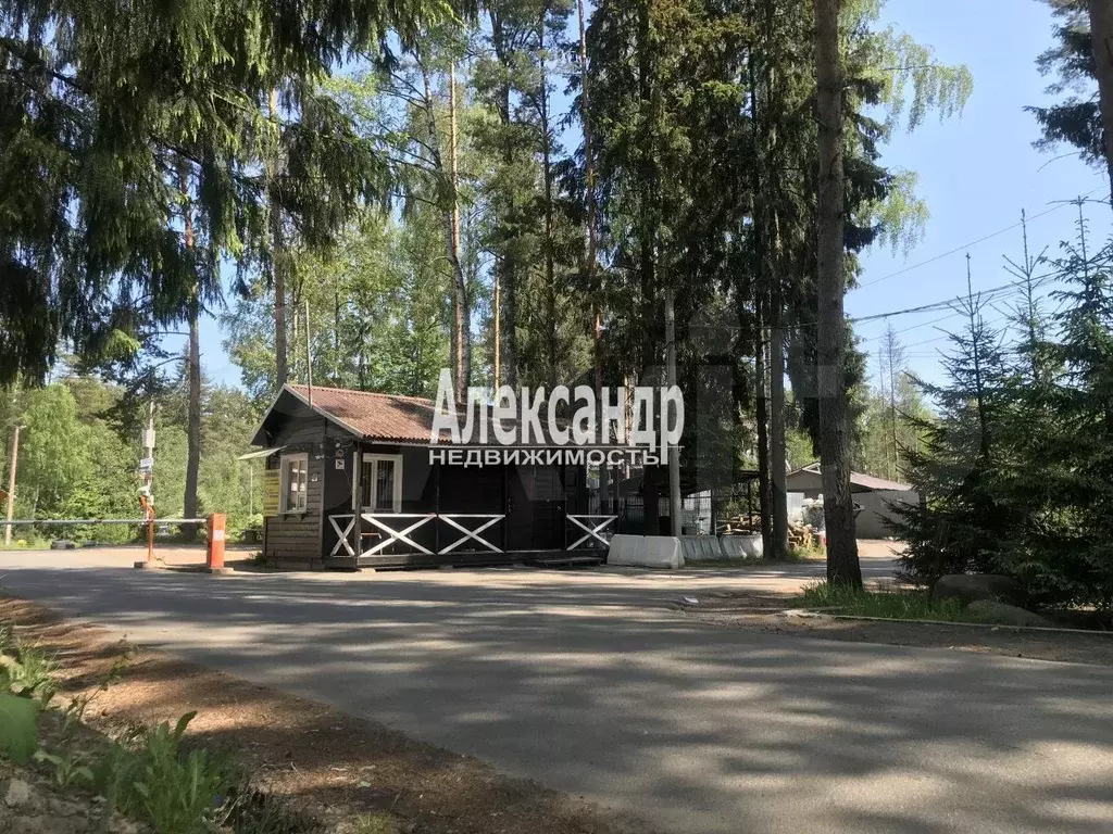 Участок 10 сот. (СНТ, ДНП) - Фото 0