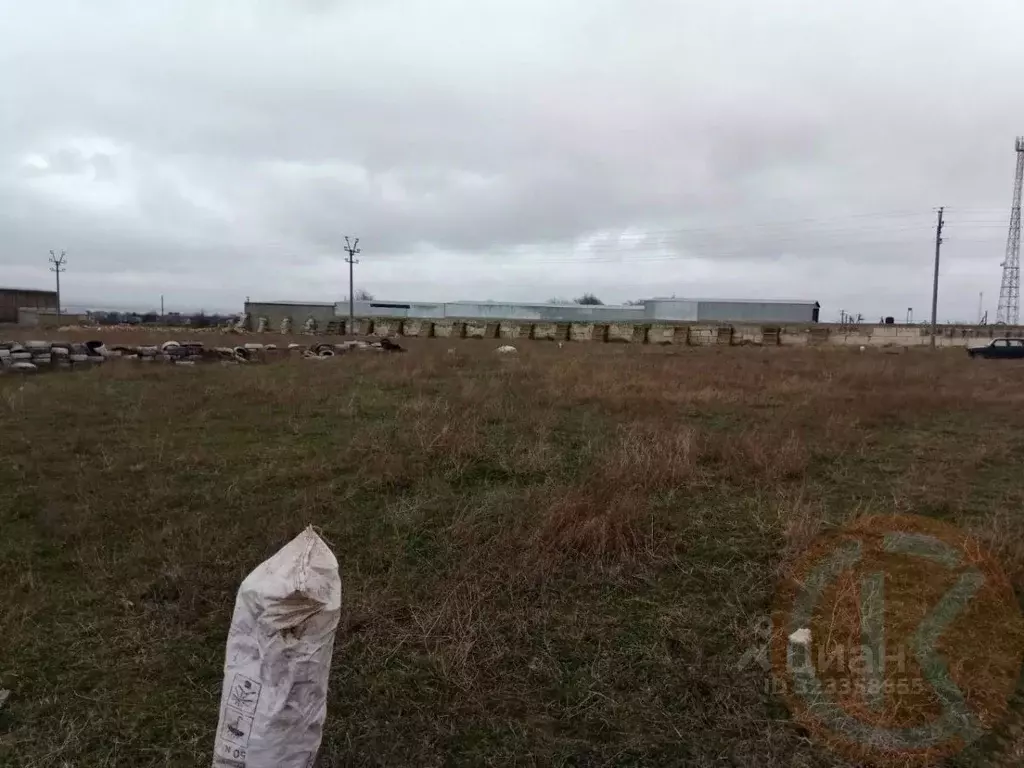 Участок в Крым, Черноморский район, с. Межводное ул. Парковая, 31 ... - Фото 2