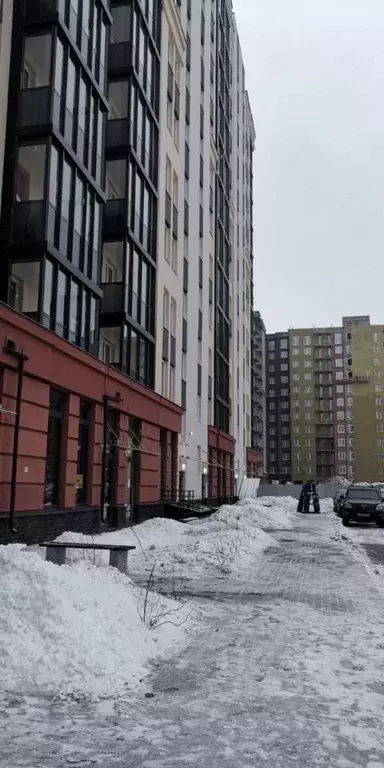 Помещение свободного назначения в Ленинградская область, Мурино ... - Фото 1