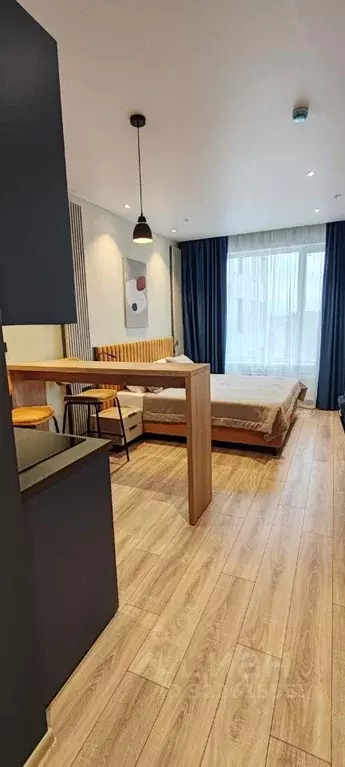 Студия Санкт-Петербург просп. Энергетиков, 8к2 (26.0 м) - Фото 2