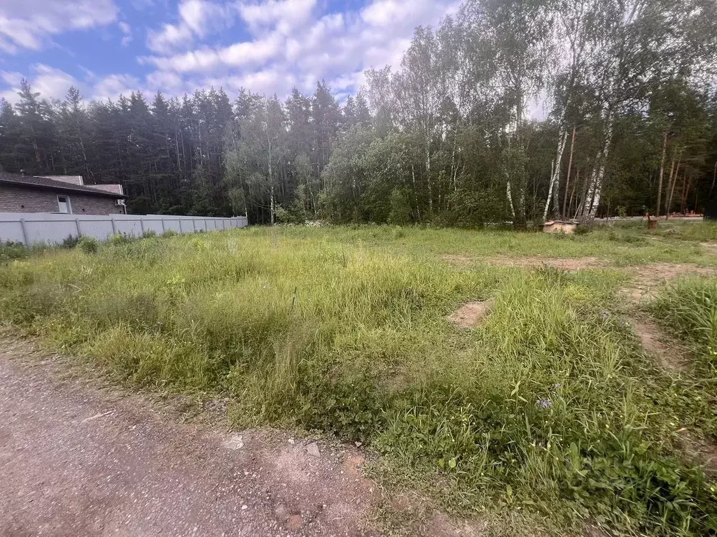 Участок в Московская область, Домодедово Бор кп, 61 (7.0 сот.) - Фото 2