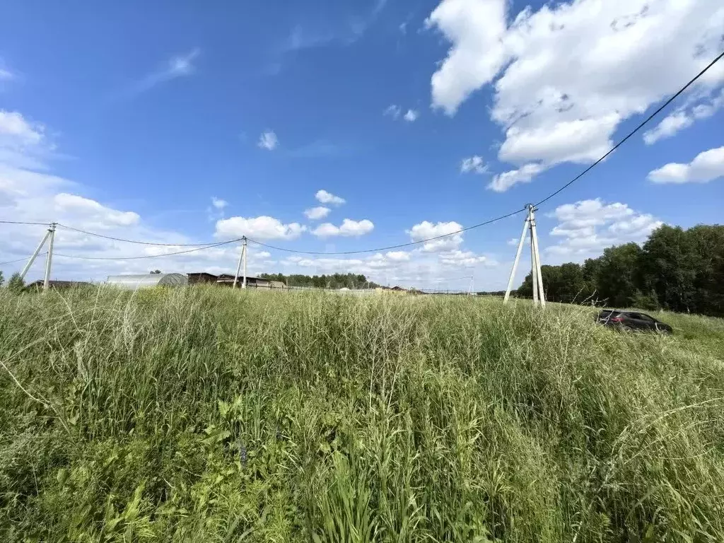 Участок в Новосибирская область, Новосибирский район, Морской ... - Фото 1