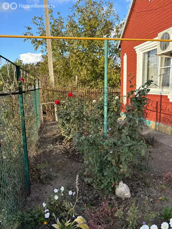 Дом в Ростовская область, Сальск (34 м) - Фото 1