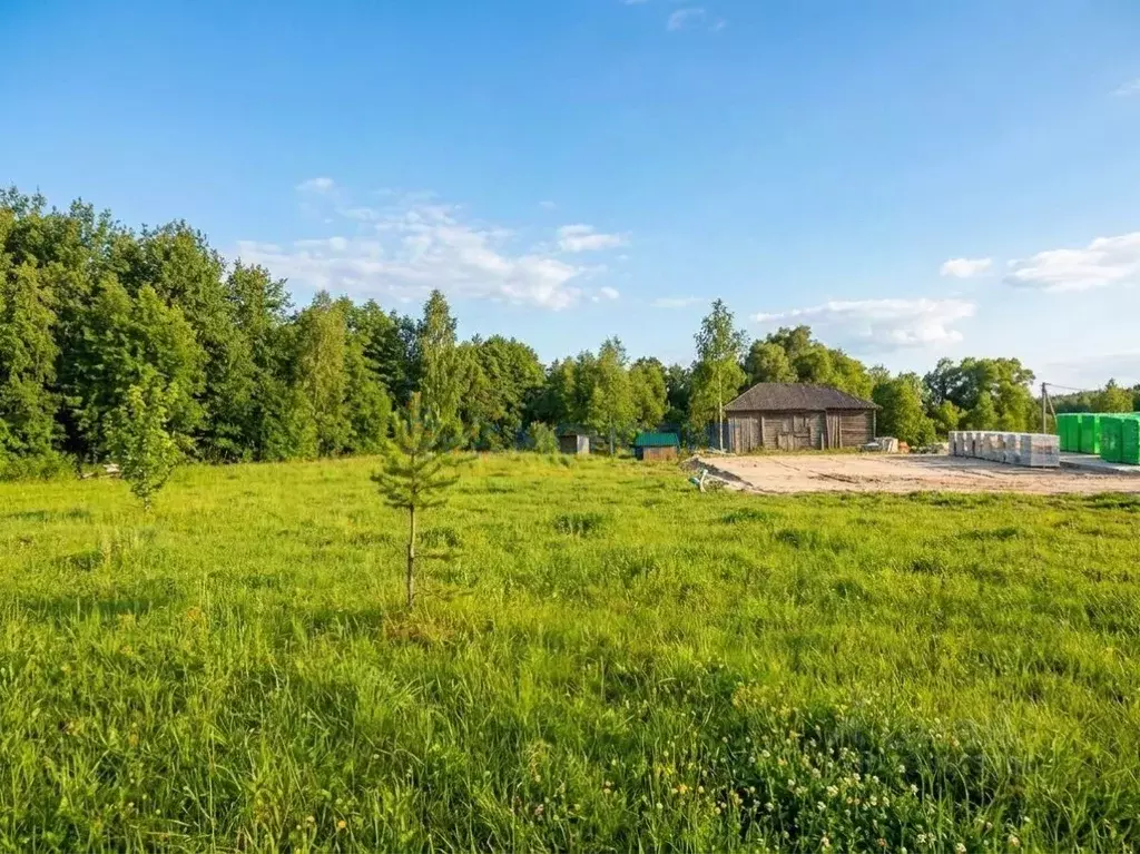 Участок в Нижегородская область, Богородский муниципальный округ, д. ... - Фото 1