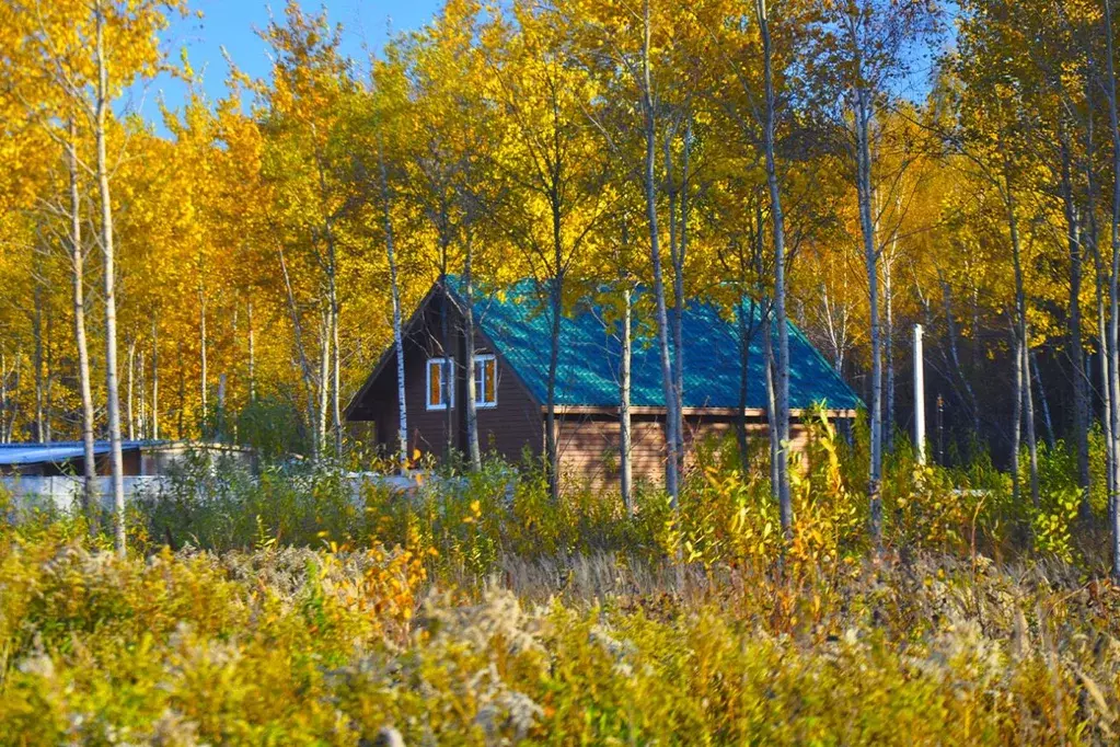 Участок в Московская область, Пушкинский городской округ, с. Левково  ... - Фото 0
