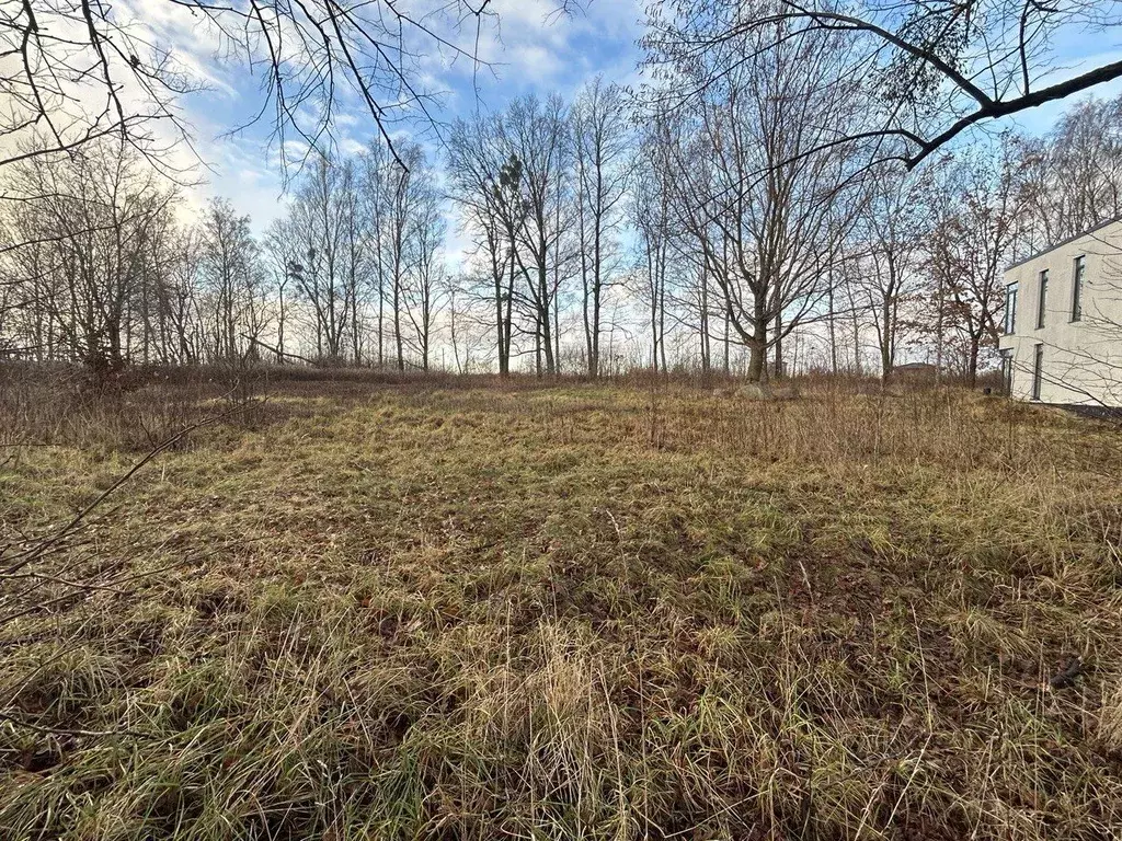 Участок в Калининградская область, Гурьевский муниципальный округ, ... - Фото 1
