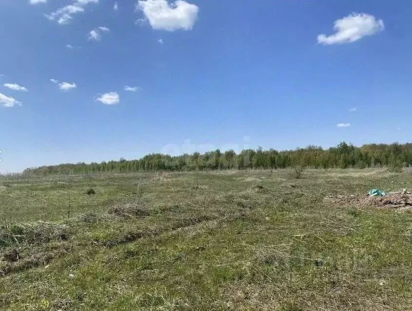 Участок в Татарстан, с. Верхний Услон ул. Лучистая, 4 (10.0 сот.) - Фото 1