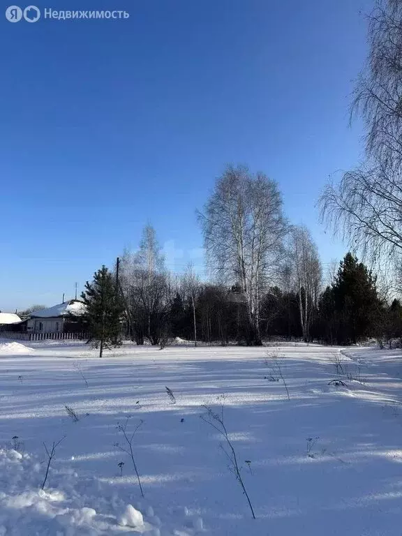 Участок в Свердловская область, Тугулымский муниципальный округ, ... - Фото 1