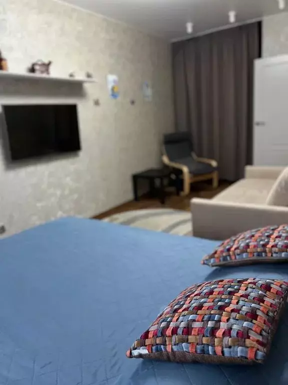 1-к кв. Псковская область, Псков Ольгинская наб., 5А (34.0 м) - Фото 1