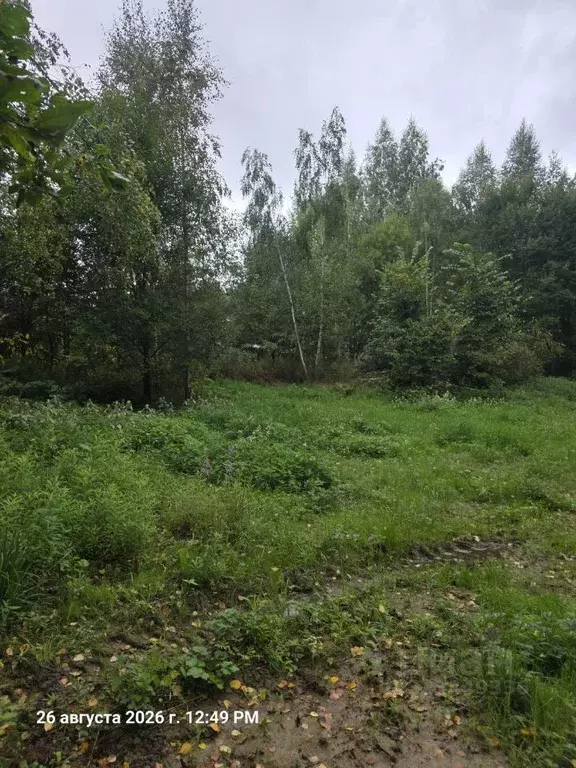 Участок в Московская область, Мытищи городской округ, с. Марфино ул. ... - Фото 1