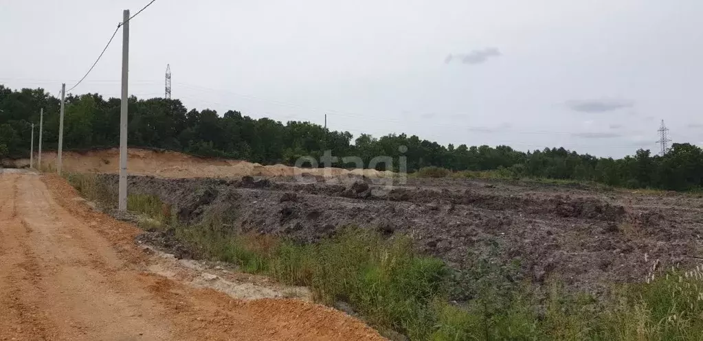 Участок в Амурская область, Благовещенский район, с. Чигири  (8.0 ... - Фото 0