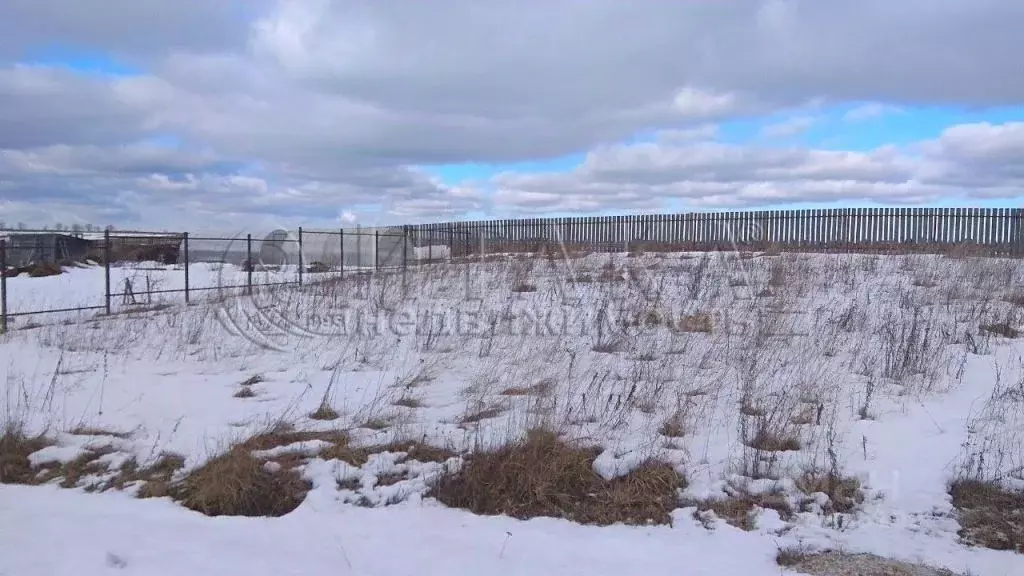 Участок в Ленинградская область, Ломоносовский район, Гостилицкое ... - Фото 1