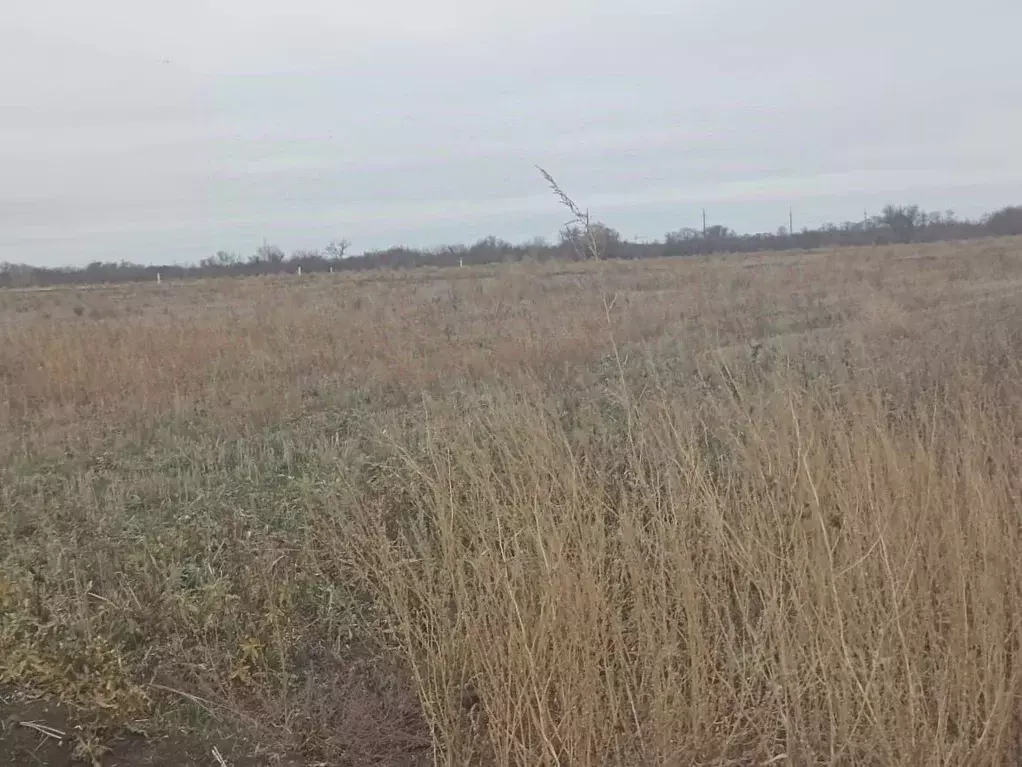 Участок в Краснодарский край, Ейск  (6.1 сот.) - Фото 1