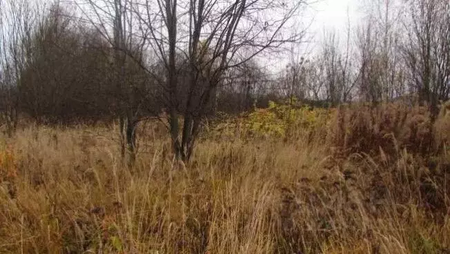 Участок в Московская область, Коломна городской округ, пос. Пески  ... - Фото 1