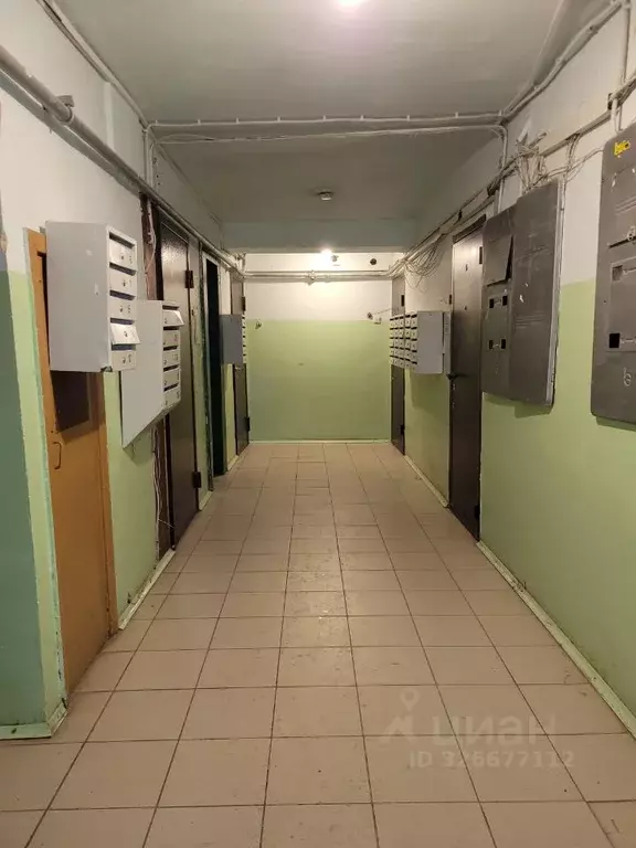 2-к кв. Свердловская область, Екатеринбург ул. Белореченская, 24к4 ... - Фото 2