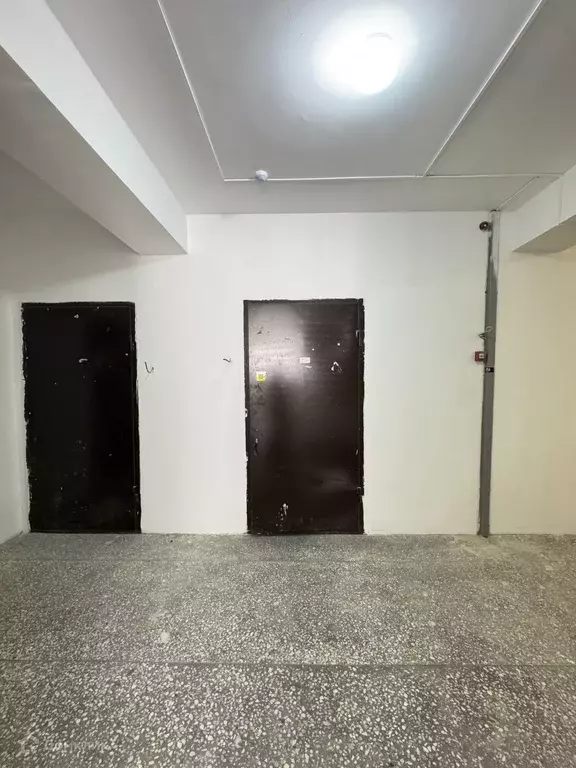 Продаётся 1-к квартира, 55 м - Фото 1