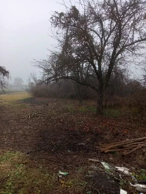 Дом в Воронежская область, Бобровский район, Хреновское с/пос, с. ... - Фото 1