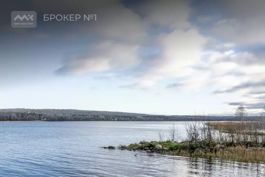 Участок в Ленинградская область, Выборгский район, Рощинское городское ... - Фото 2