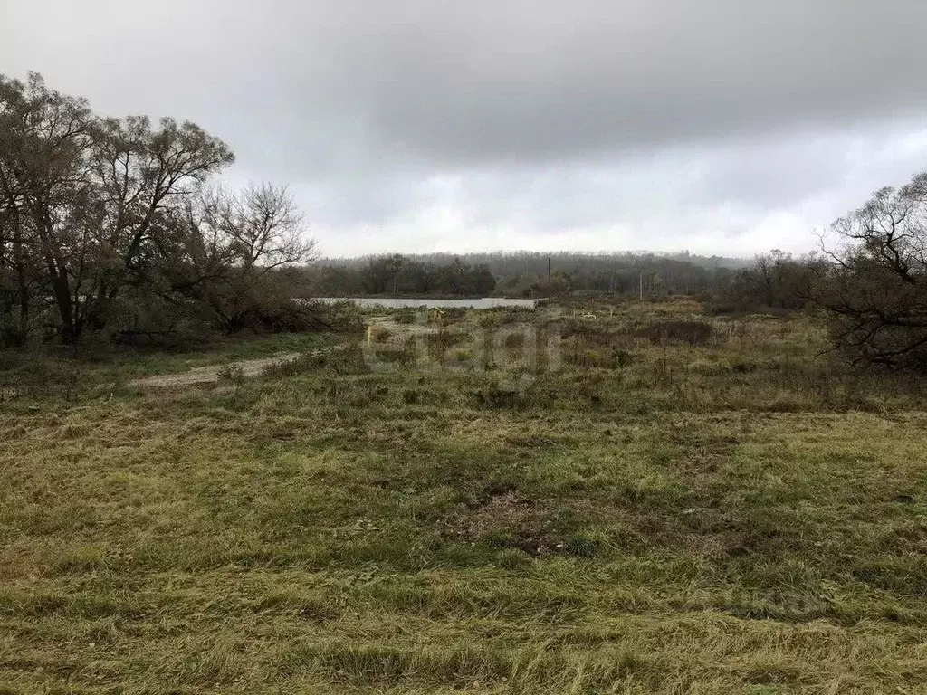 Участок в Тульская область, Тула городской округ, д. Медвенка, ... - Фото 1