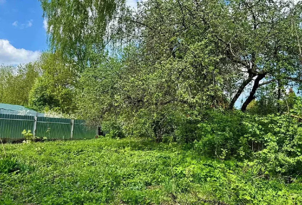 Продается участок в г. Дедовск - Фото 1