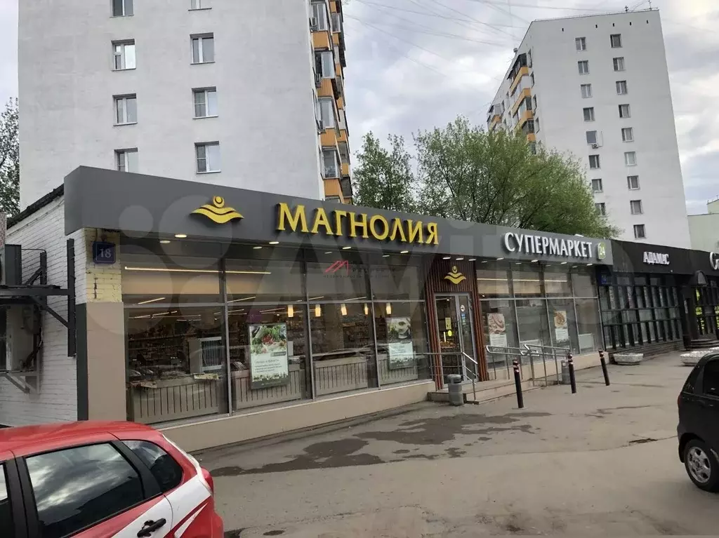 Продажа помещения с Магнолией - Фото 1