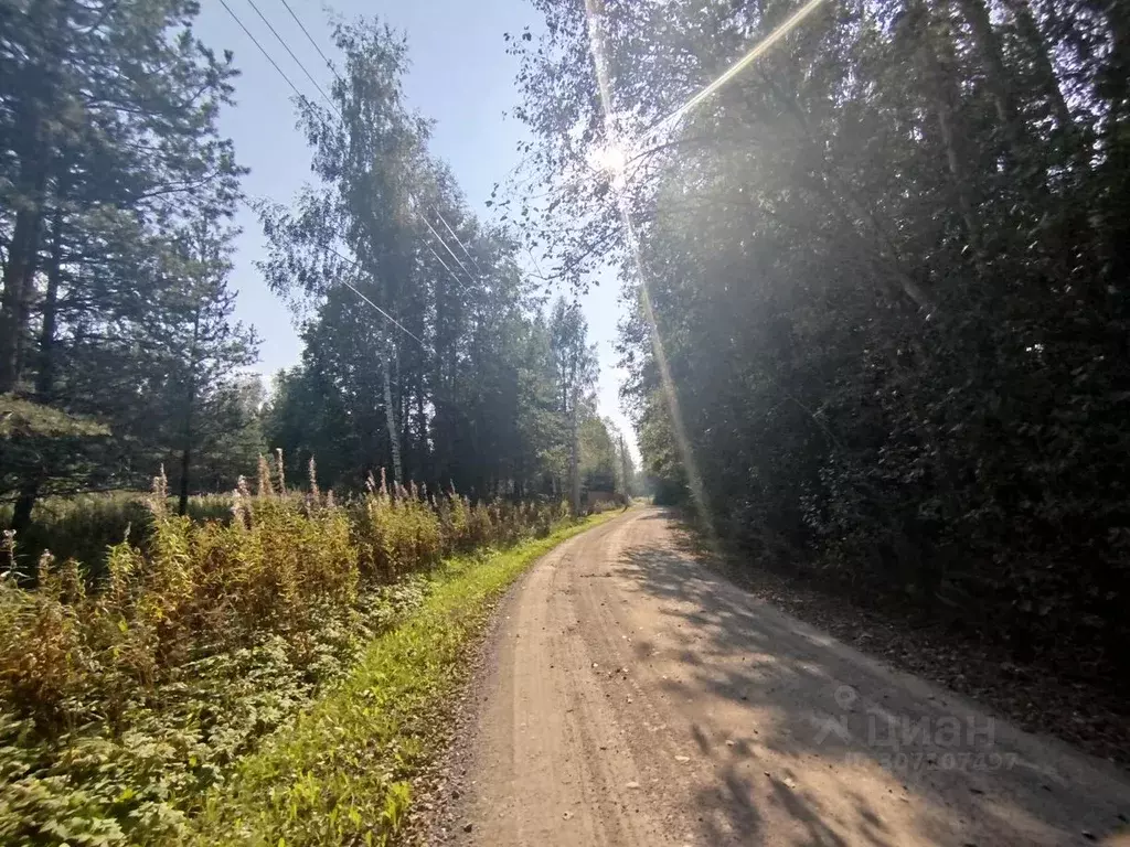 Участок в Новгородская область, Валдайский район, Едровское с/пос, д. ... - Фото 2