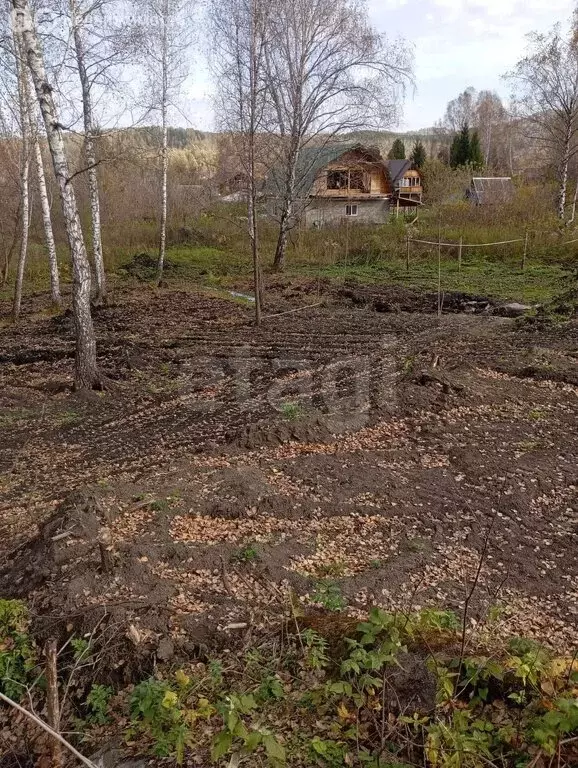 Участок в Алтайский район, Айский сельсовет, село Ая (12.8 м) - Фото 1